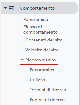 Google Analytics sezione Comportamento, Ricerca sul sito