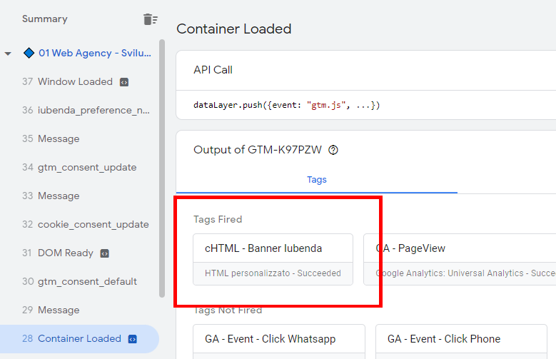 Google Tag Manager Tag Fired